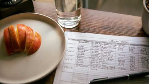 calorie counter meal planning tips