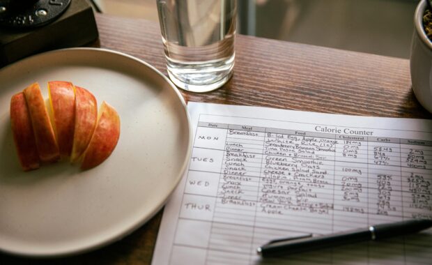 calorie counter meal planning tips